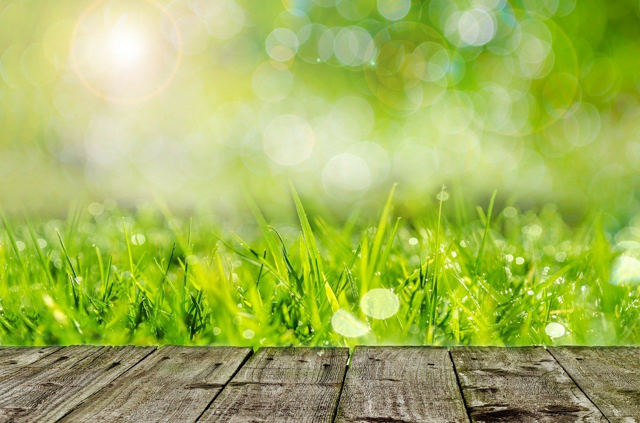 background-316552_1280