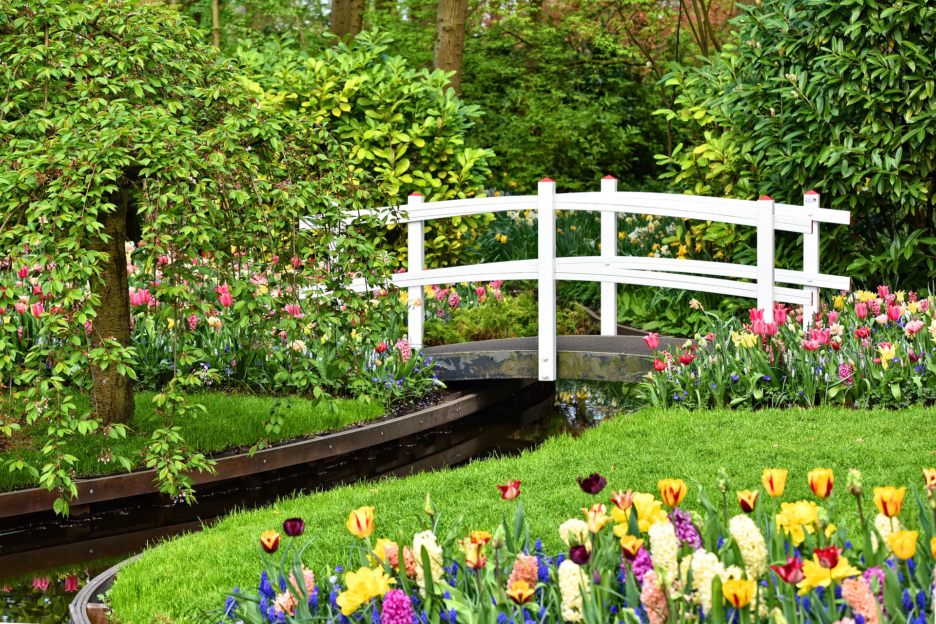 wooden-bridge-3344449_1920